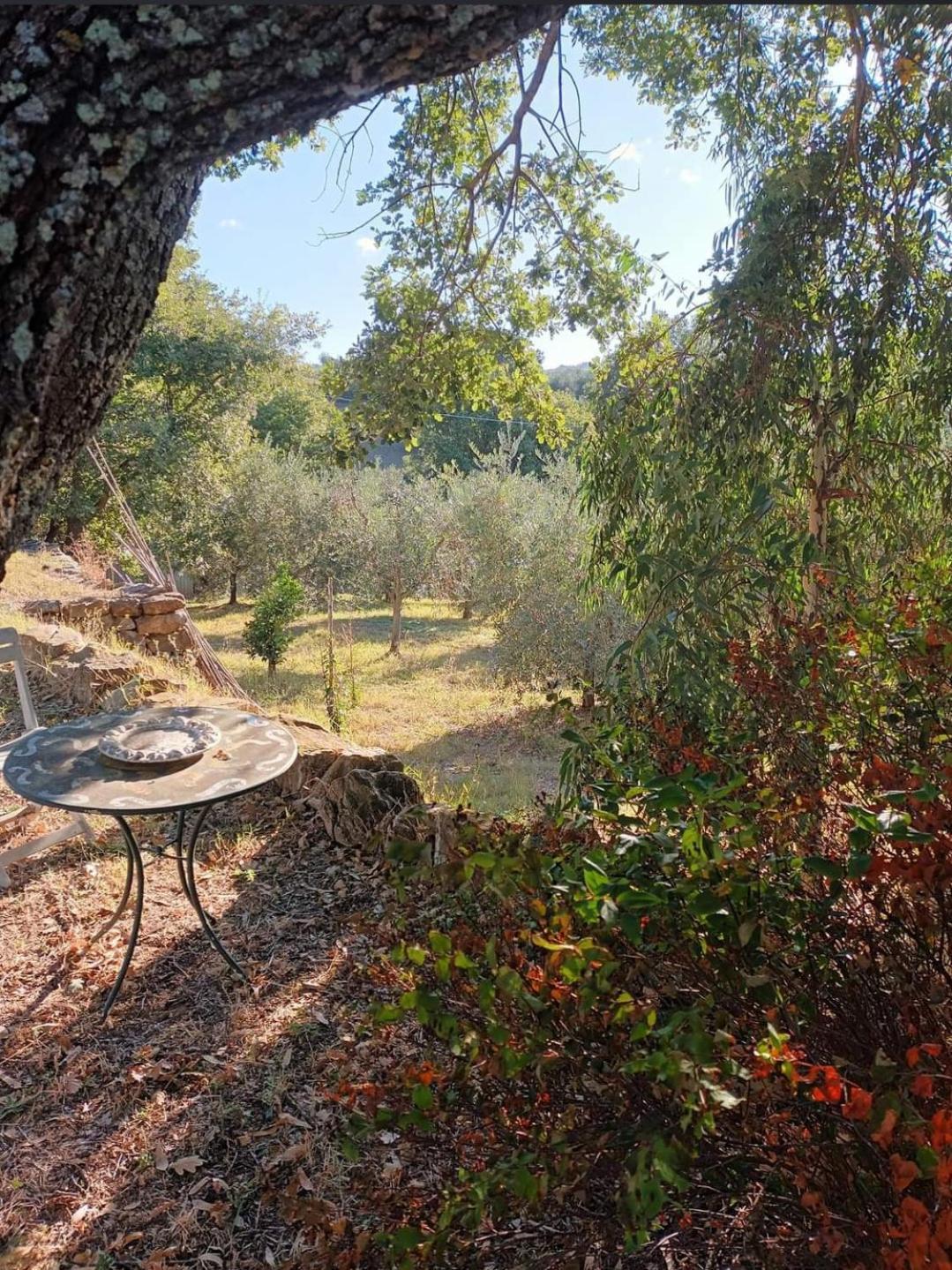 Casa In Maremma Apartment Montemerano Exterior photo